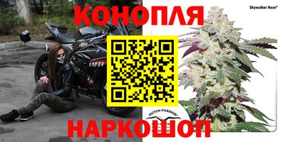 мяу мяу мука Севастополь