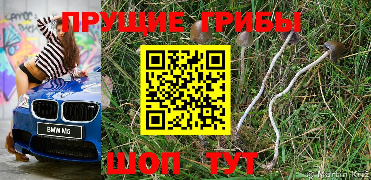 Псилоцибиновые грибы мухоморы Острогожск